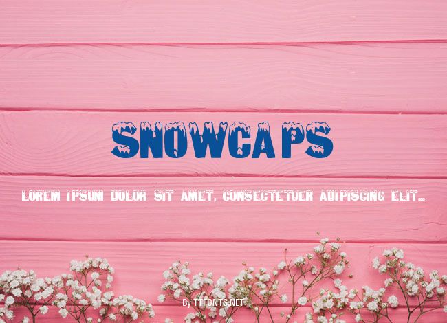 SnowCaps example