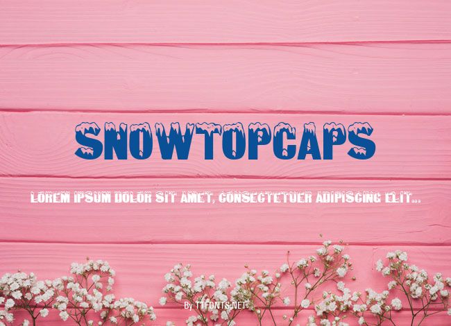 SnowtopCaps example