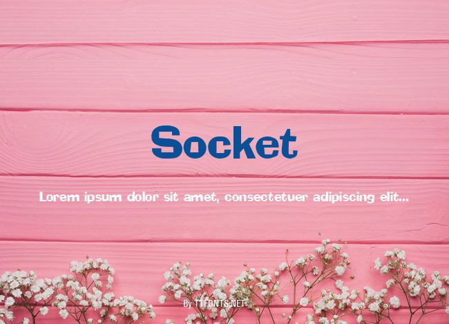Socket example