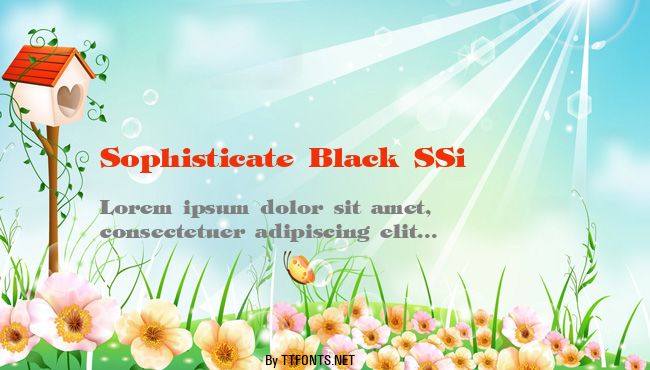 Sophisticate Black SSi example