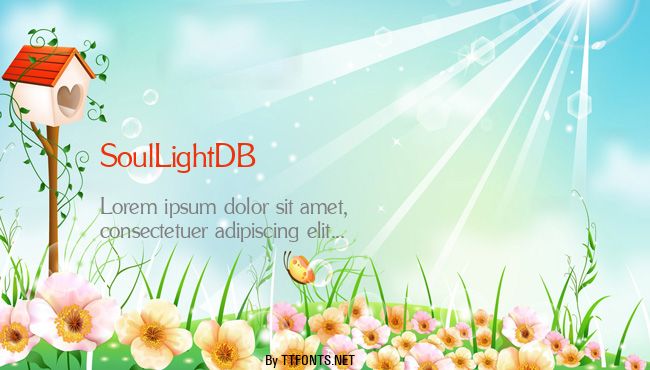 SoulLightDB example
