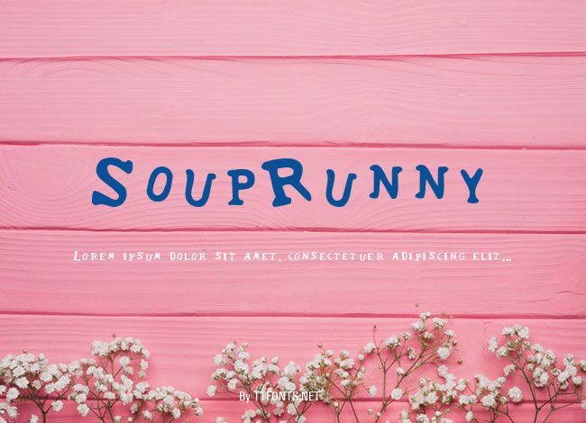 SoupRunny example