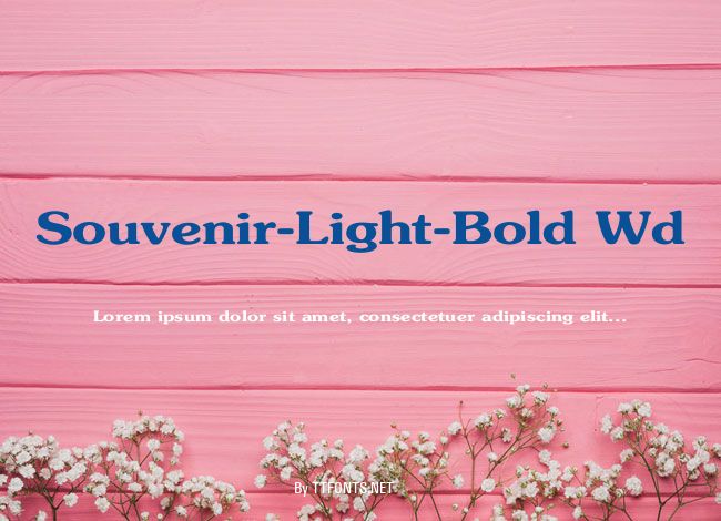 Souvenir-Light-Bold Wd example