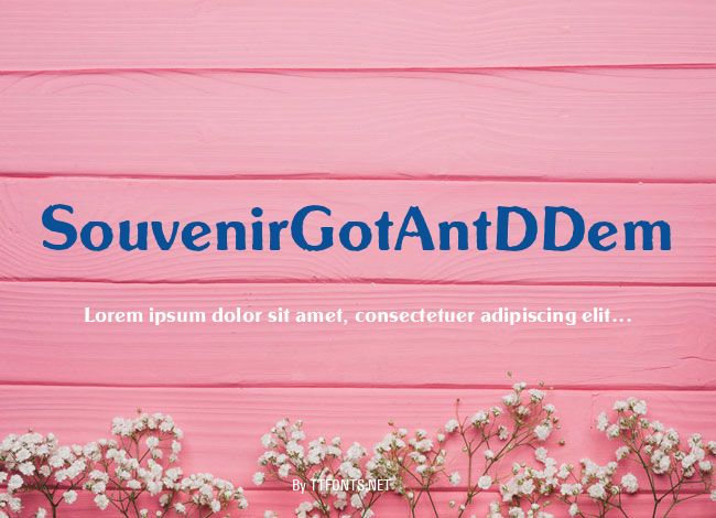 SouvenirGotAntDDem example