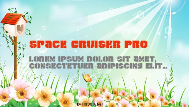 Space Cruiser Pro example