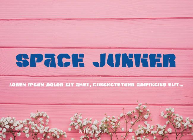 Space Junker example