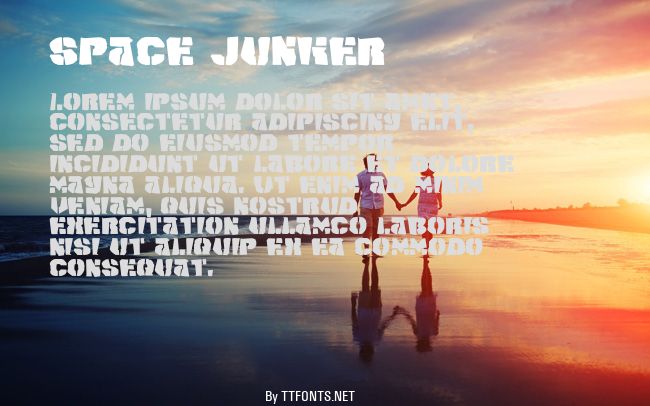 Space Junker example