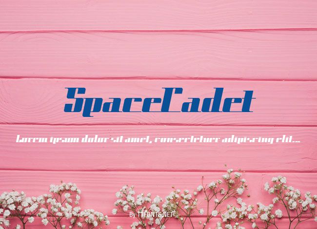 SpaceCadet example