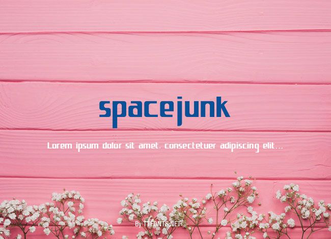 spacejunk example