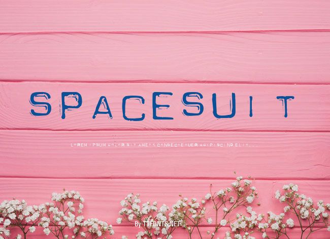 Spacesuit example