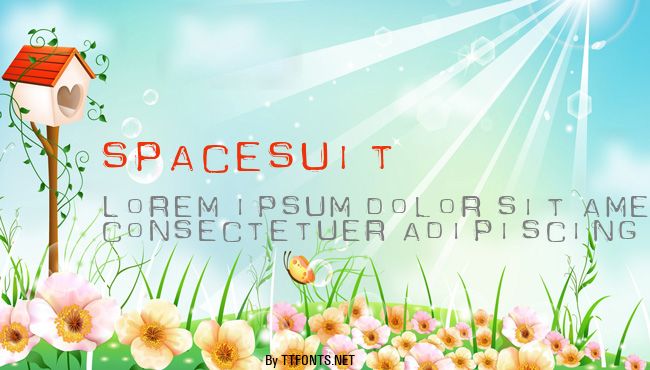 Spacesuit example