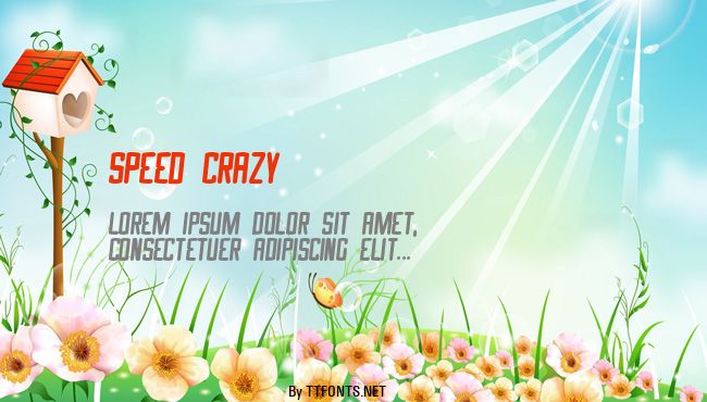 Speed Crazy example