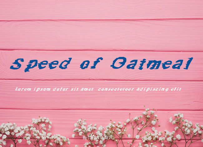 Speed of Oatmeal example