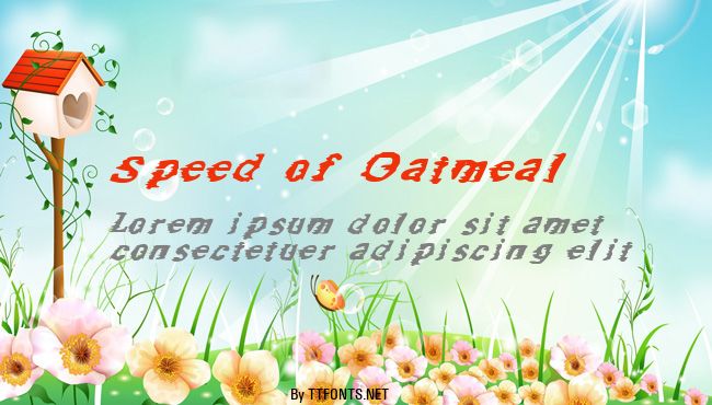 Speed of Oatmeal example