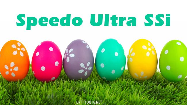 Speedo Ultra SSi example