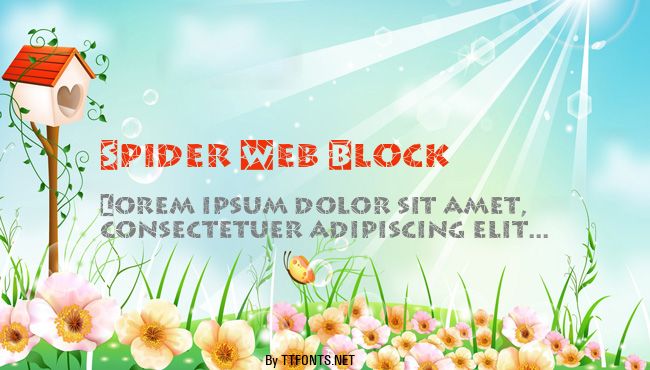 Spider Web Block example