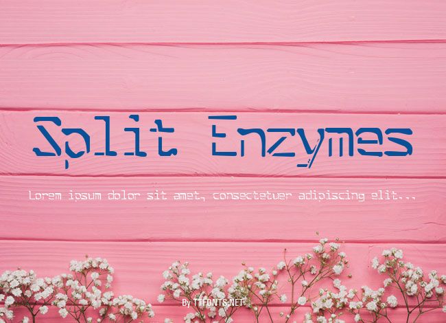 Split Enzymes example