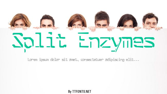 Split Enzymes example