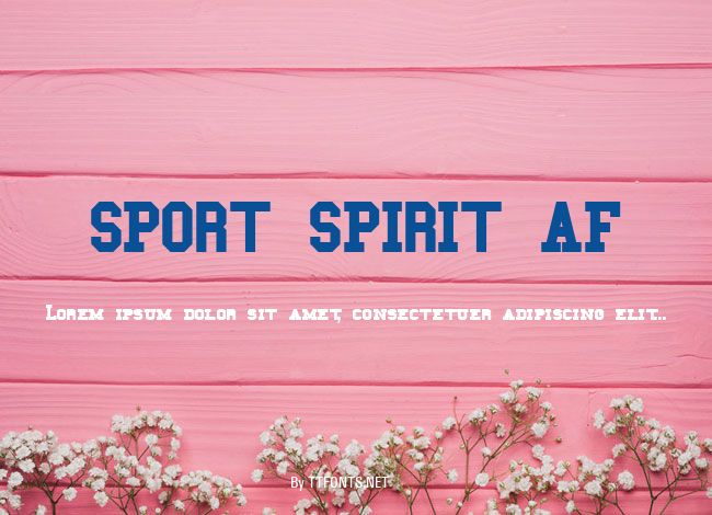 SPORT SPIRIT AF example