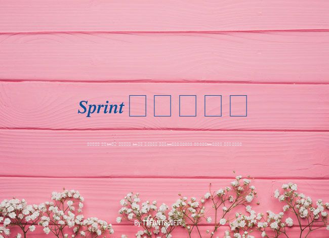 Sprint example