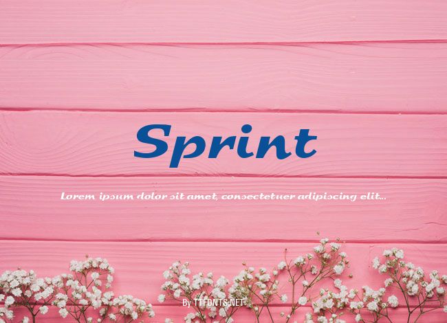 Sprint example