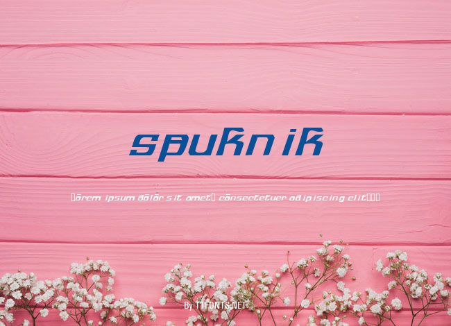 spuknik example