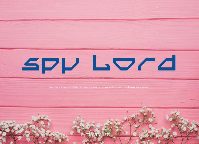 Spy Lord example