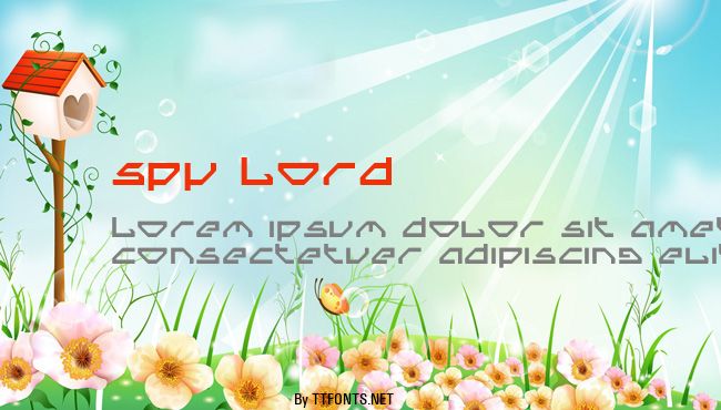 Spy Lord example