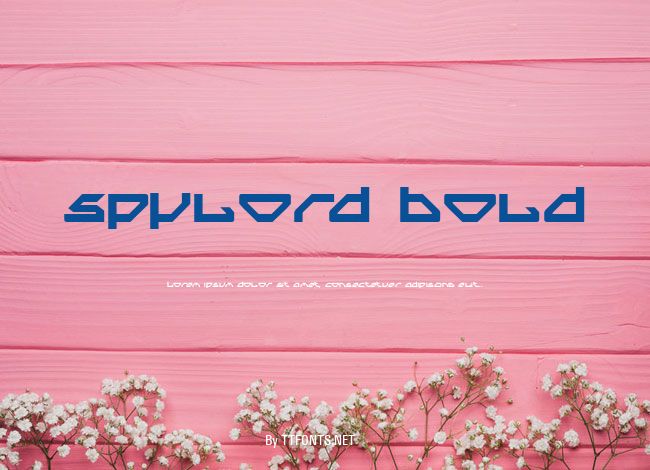 Spylord Bold example