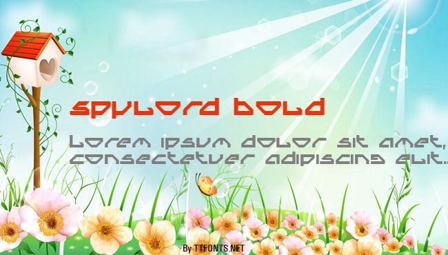 Spylord Bold example