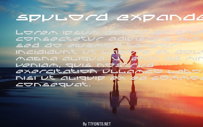 Spylord Expanded example