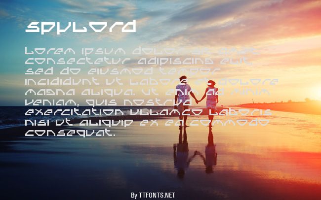 Spylord example