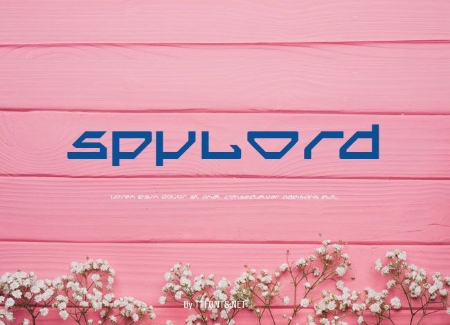 Spylord example