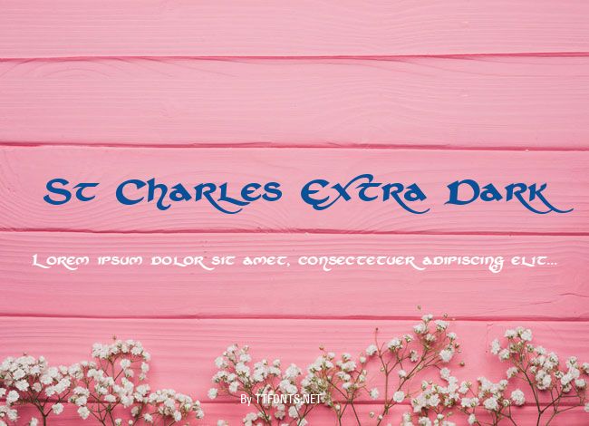 St Charles Extra Dark example