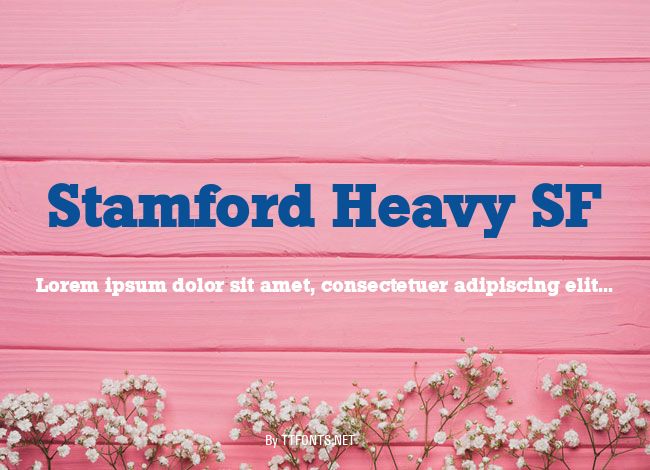 Stamford Heavy SF example