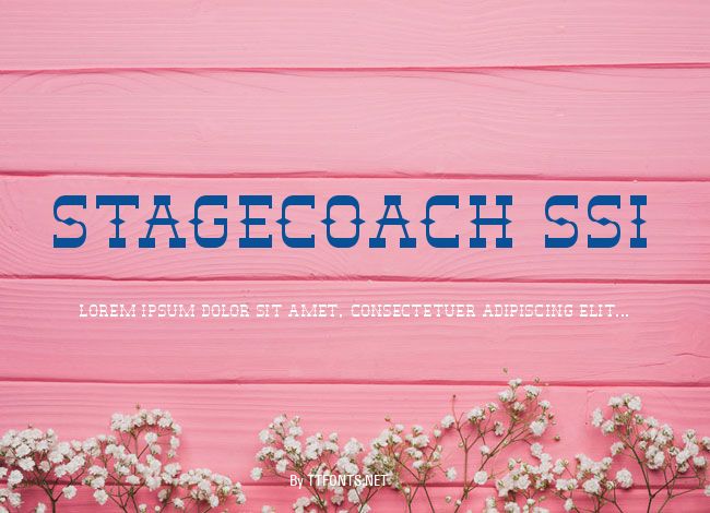 Stagecoach SSi example