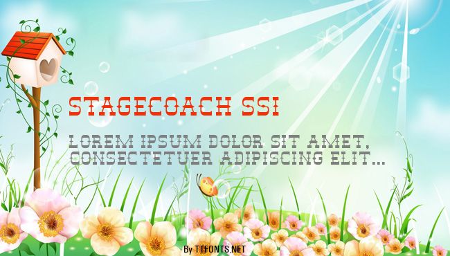 Stagecoach SSi example