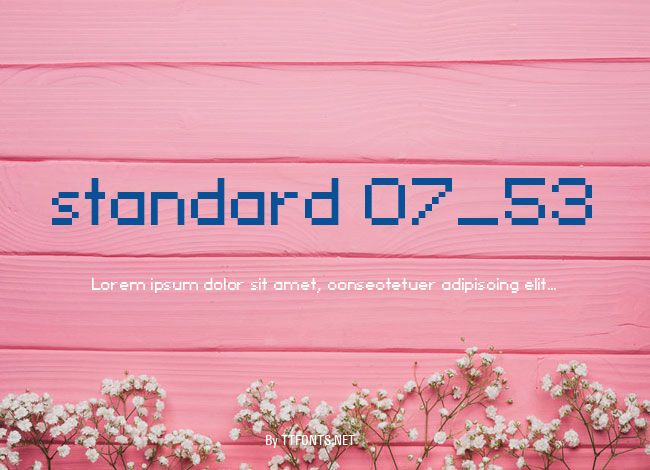 standard 07_53 example