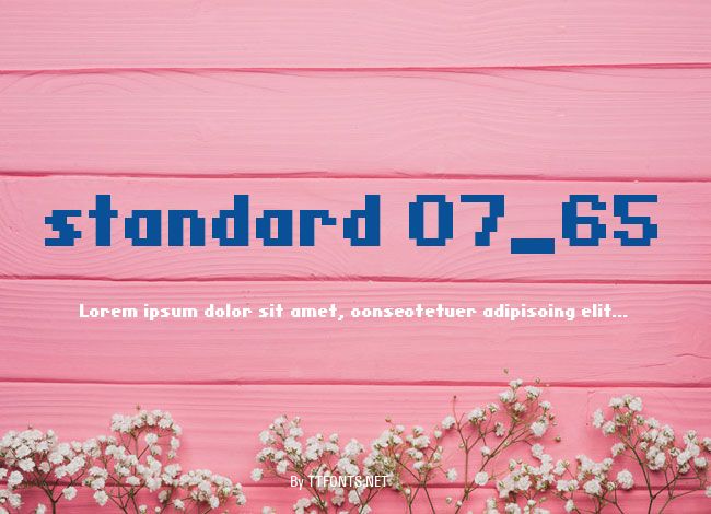 standard 07_65 example