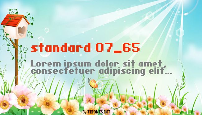 standard 07_65 example