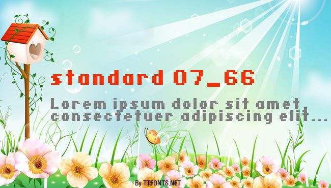 standard 07_66 example