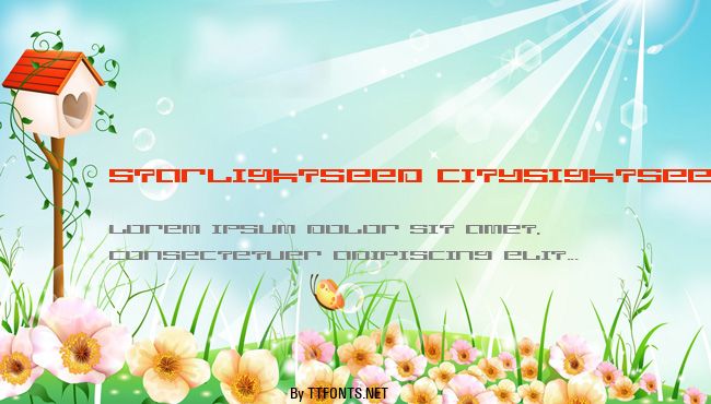 starlightseed citysightseeing example