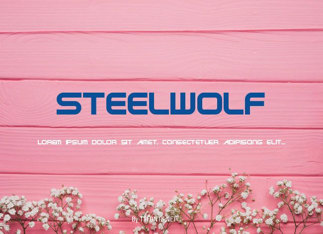 SteelWolf example
