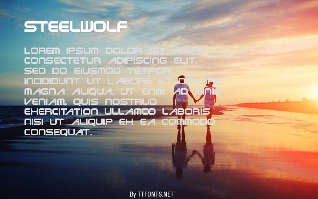 SteelWolf example