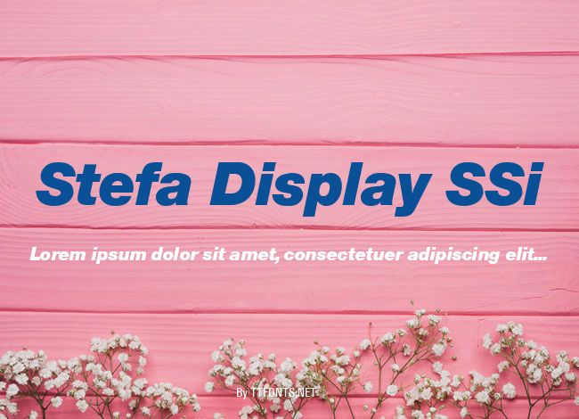Stefa Display SSi example