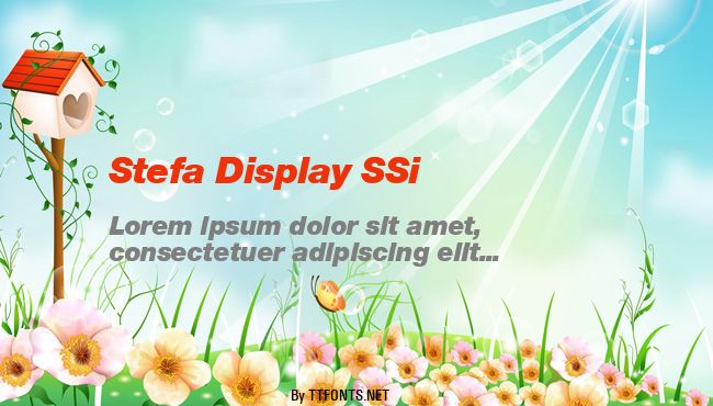 Stefa Display SSi example