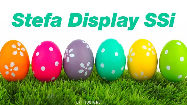 Stefa Display SSi example