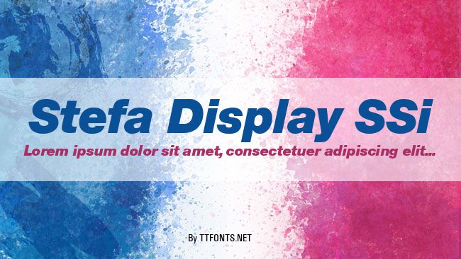 Stefa Display SSi example