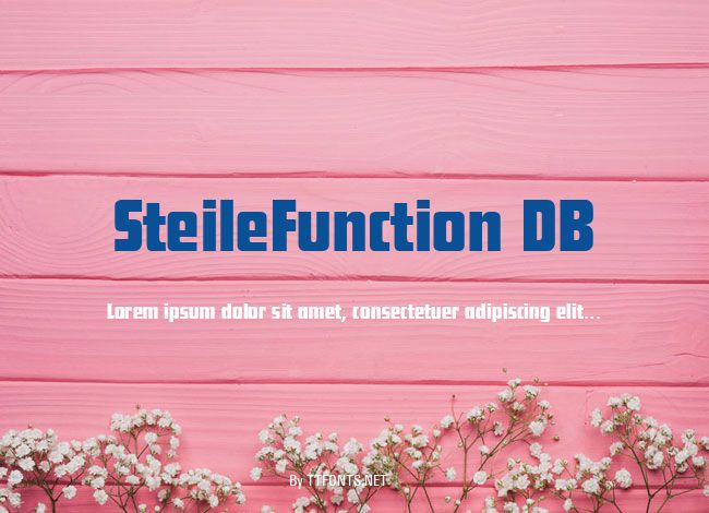 SteileFunction DB example