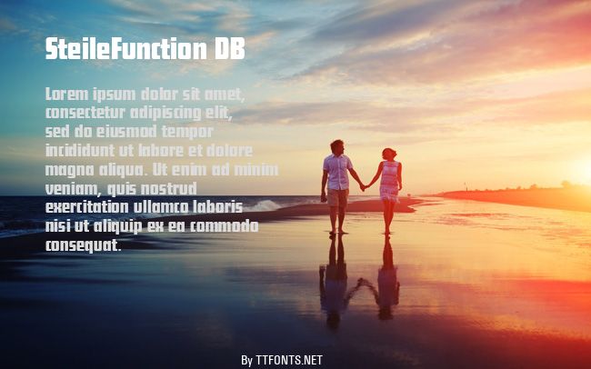 SteileFunction DB example